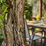 Paier Relais & Pool * Malcesine