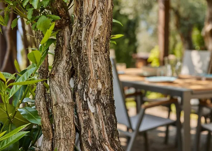 Paier Relais & Pool * 말세진느